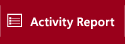 Activity Report