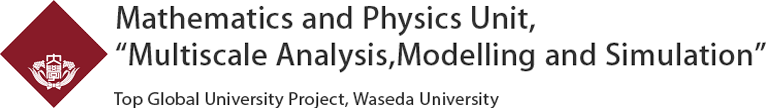 Mathematics and Physics Unit,Multiscale Analysis,Modelling and Simulation Top Global University Project,Waseda University